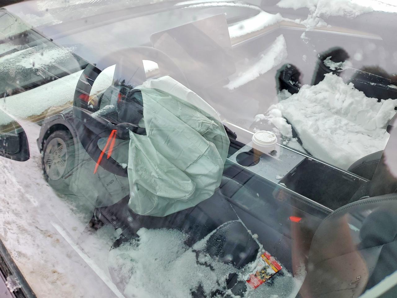 2023 TESLA MODEL 3 photo 8