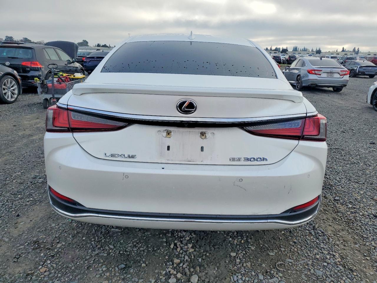 2019 LEXUS ES 300H photo 6