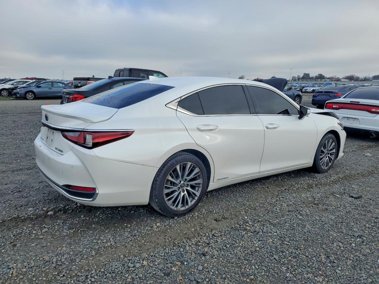 2019 LEXUS ES 300H photo 3