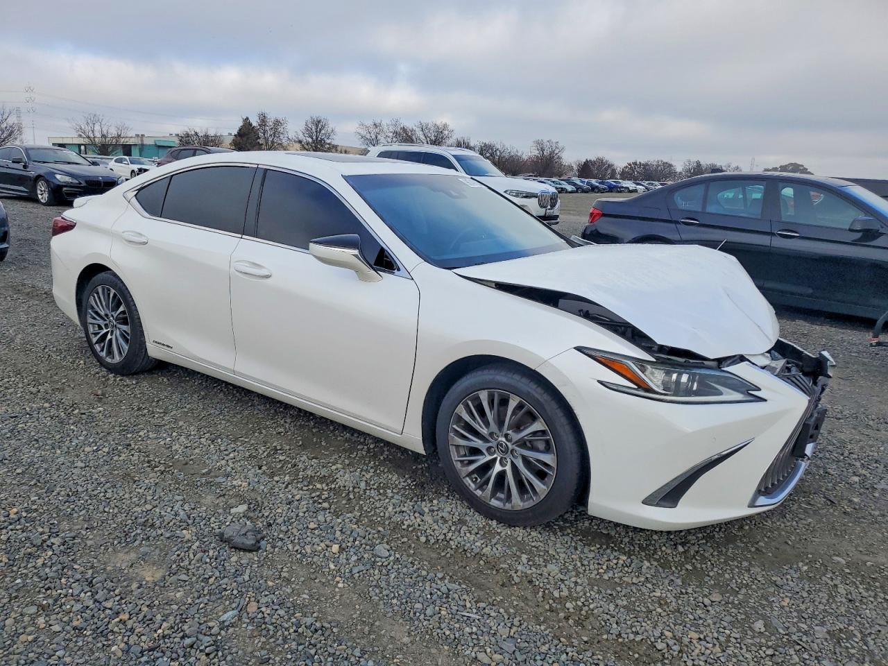 2019 LEXUS ES 300H photo 4