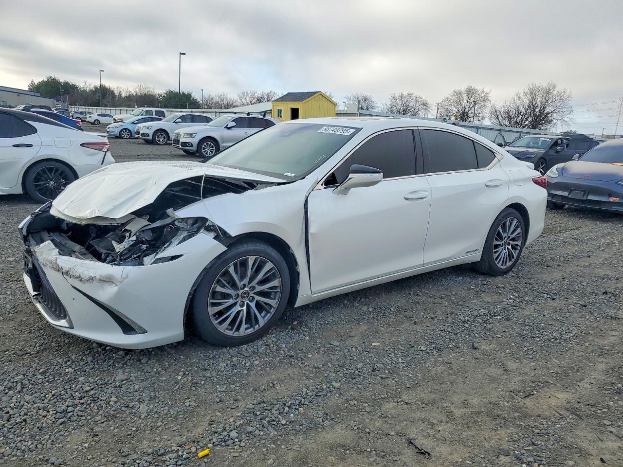 2019 LEXUS ES