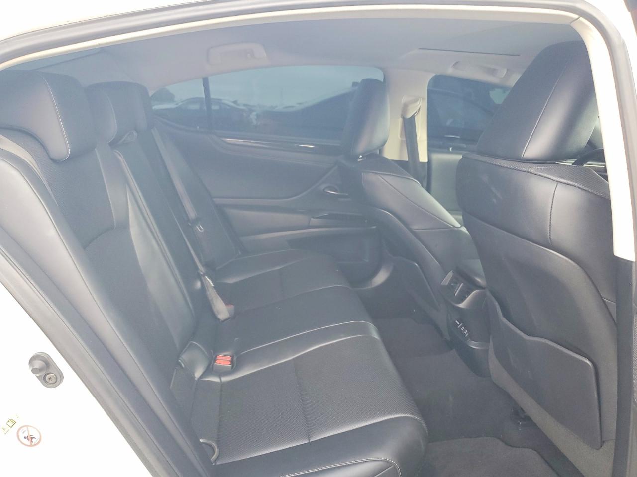 2019 LEXUS ES 300H photo 10