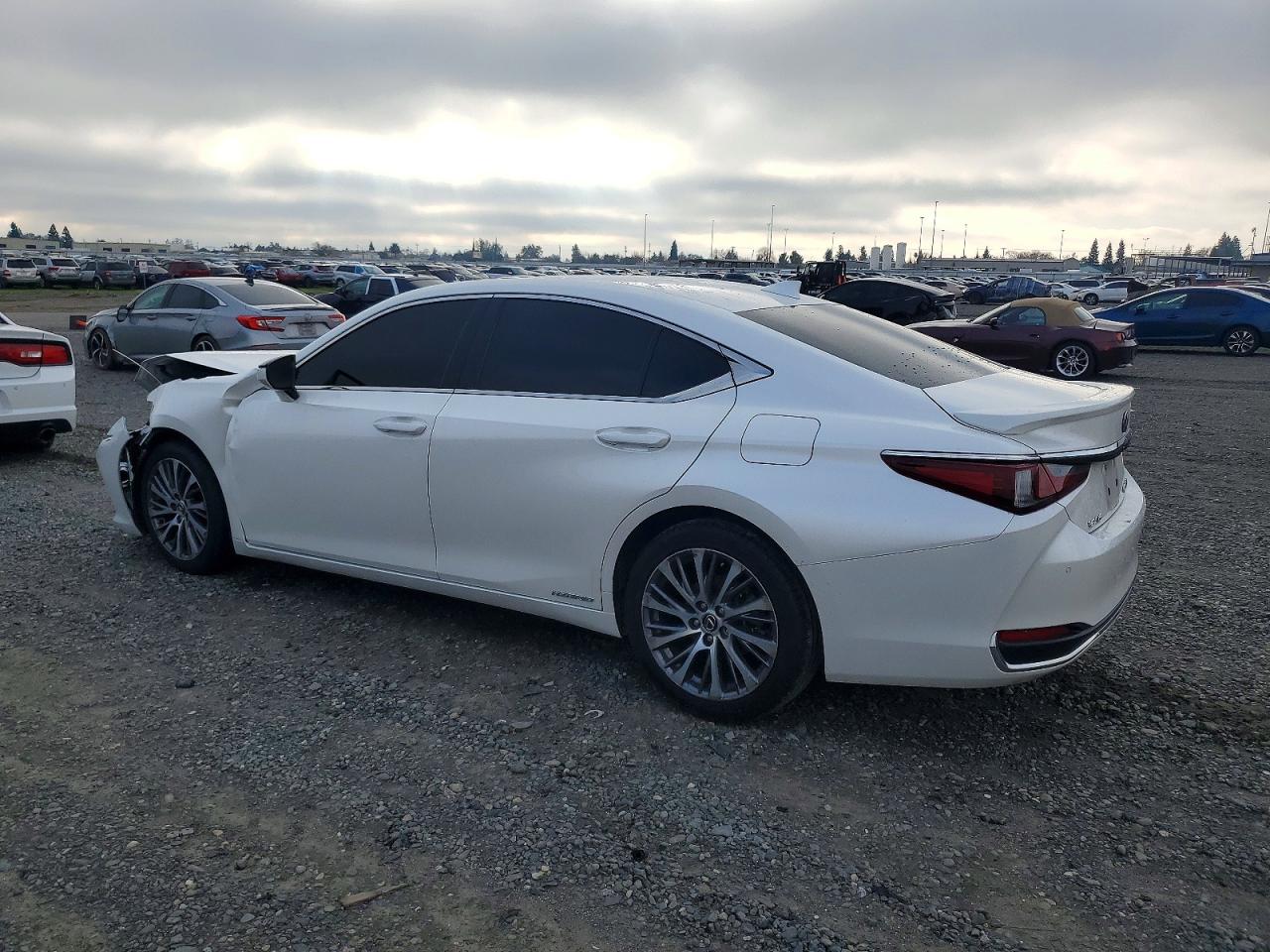 2019 LEXUS ES 300H photo 2