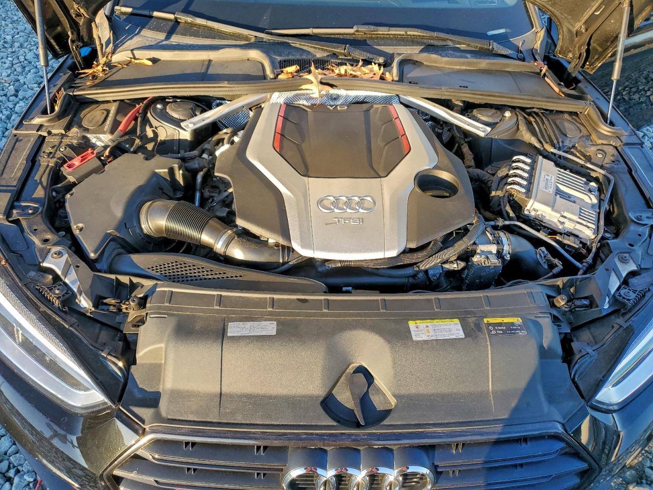 2019 AUDI S5 photo 11