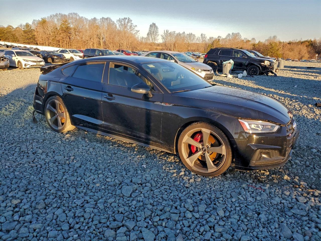 2019 AUDI S5 photo 4