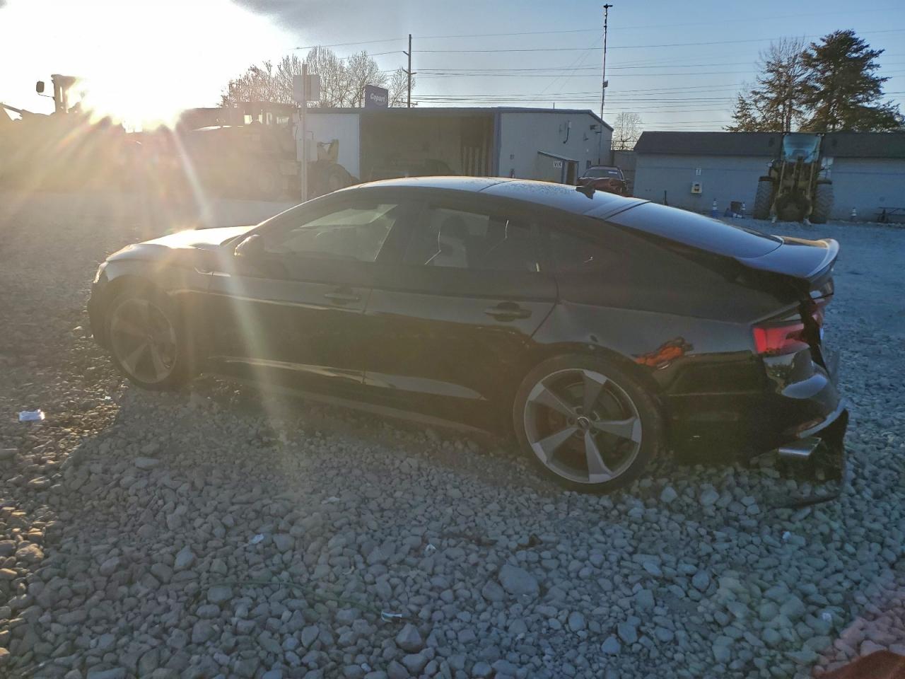 2019 AUDI S5 photo 2