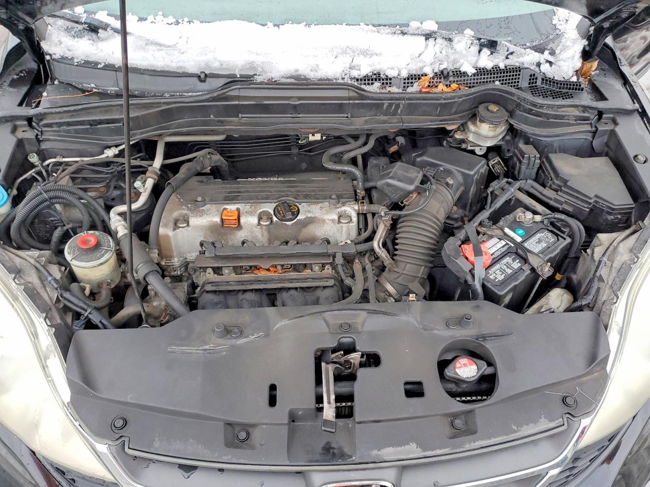 2010 HONDA CR-V LX photo 12