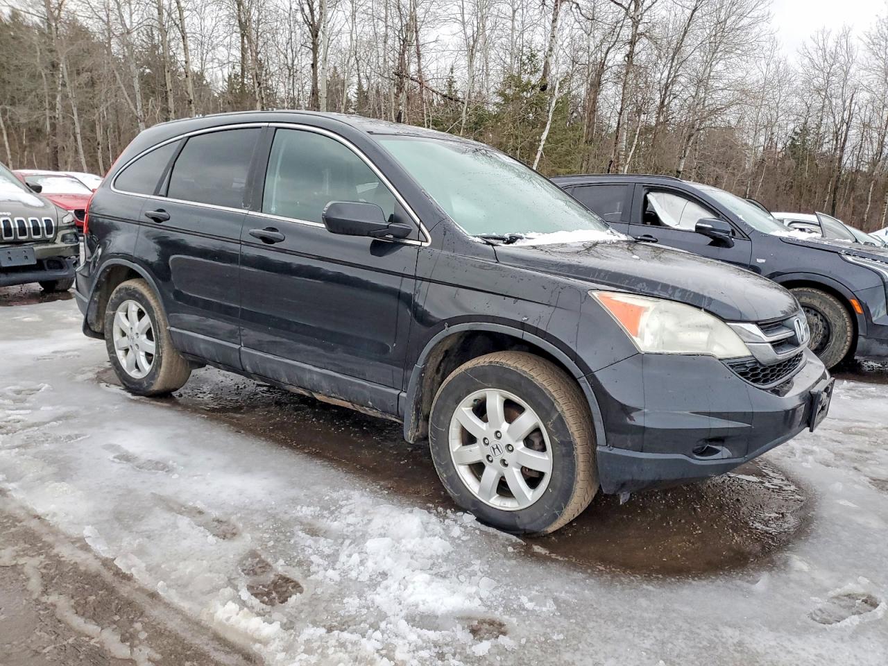 2010 HONDA CR-V LX photo 4