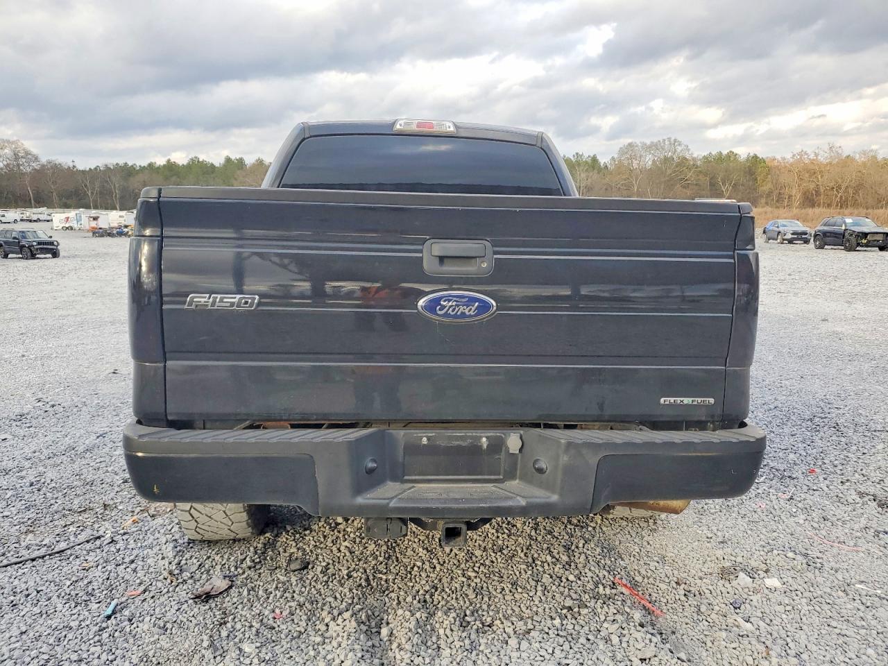 2014 FORD F150 SUPERCREW photo 6