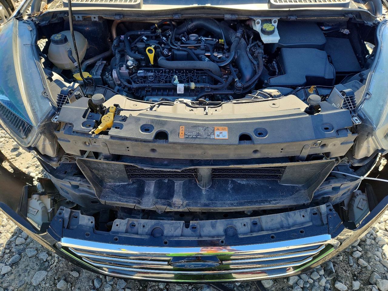 2019 FORD ESCAPE SE photo 12