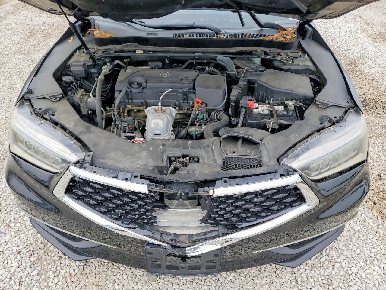 2018 ACURA TLX photo 11