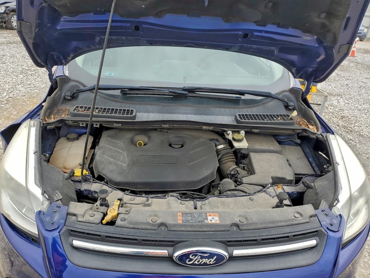 2014 FORD ESCAPE SE photo 12