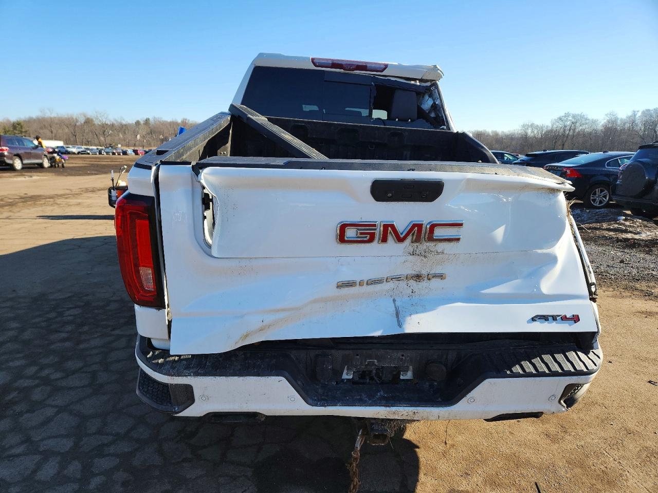 2020 GMC SIERRA K1500 AT4 photo 6