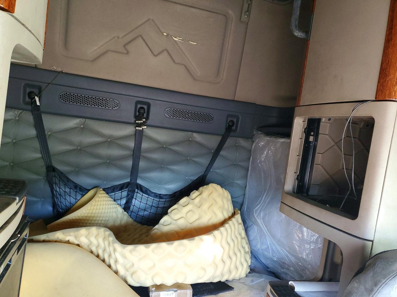 2016 FREIGHTLINER CASCADIA 125 SEMI TRUCK photo 11