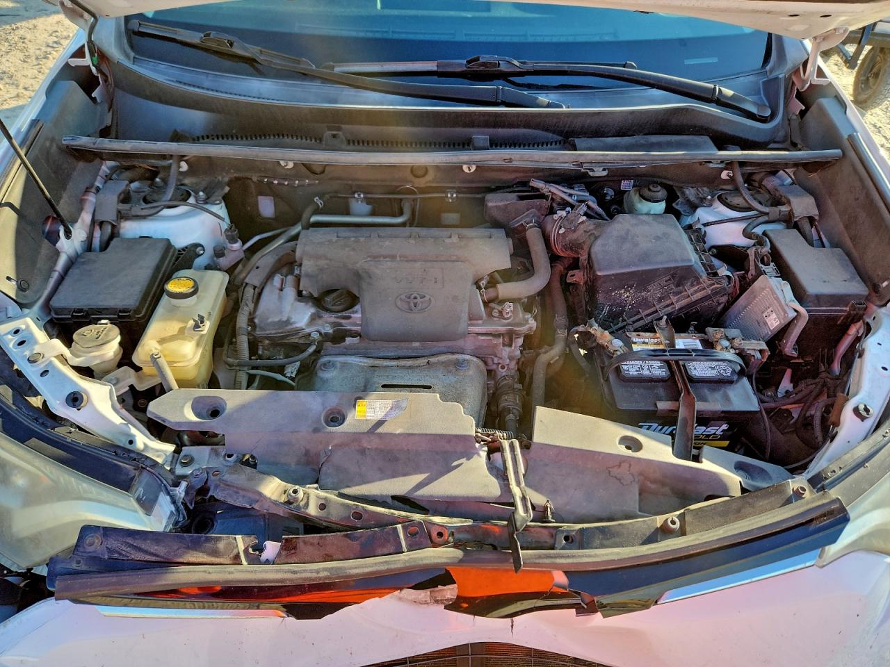 2016 TOYOTA RAV4 XLE photo 12