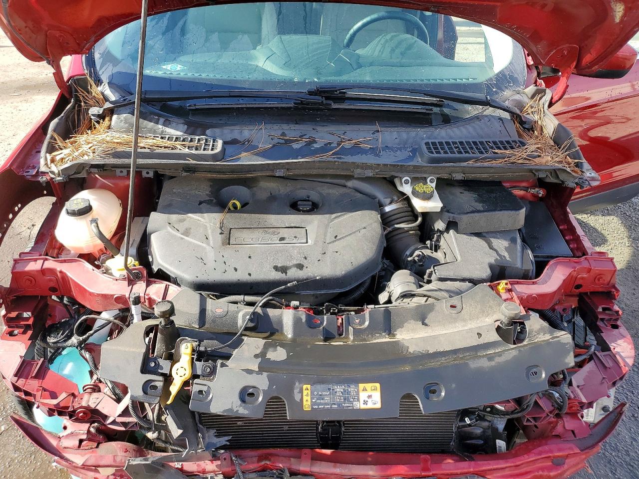 2017 FORD ESCAPE SE photo 12