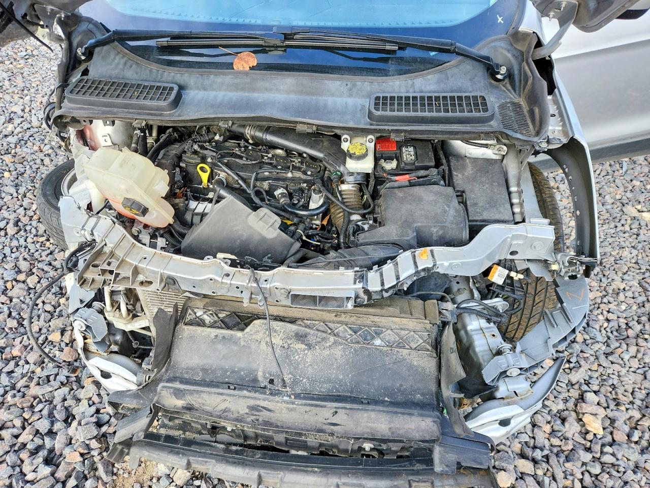 2014 FORD ESCAPE SE photo 11