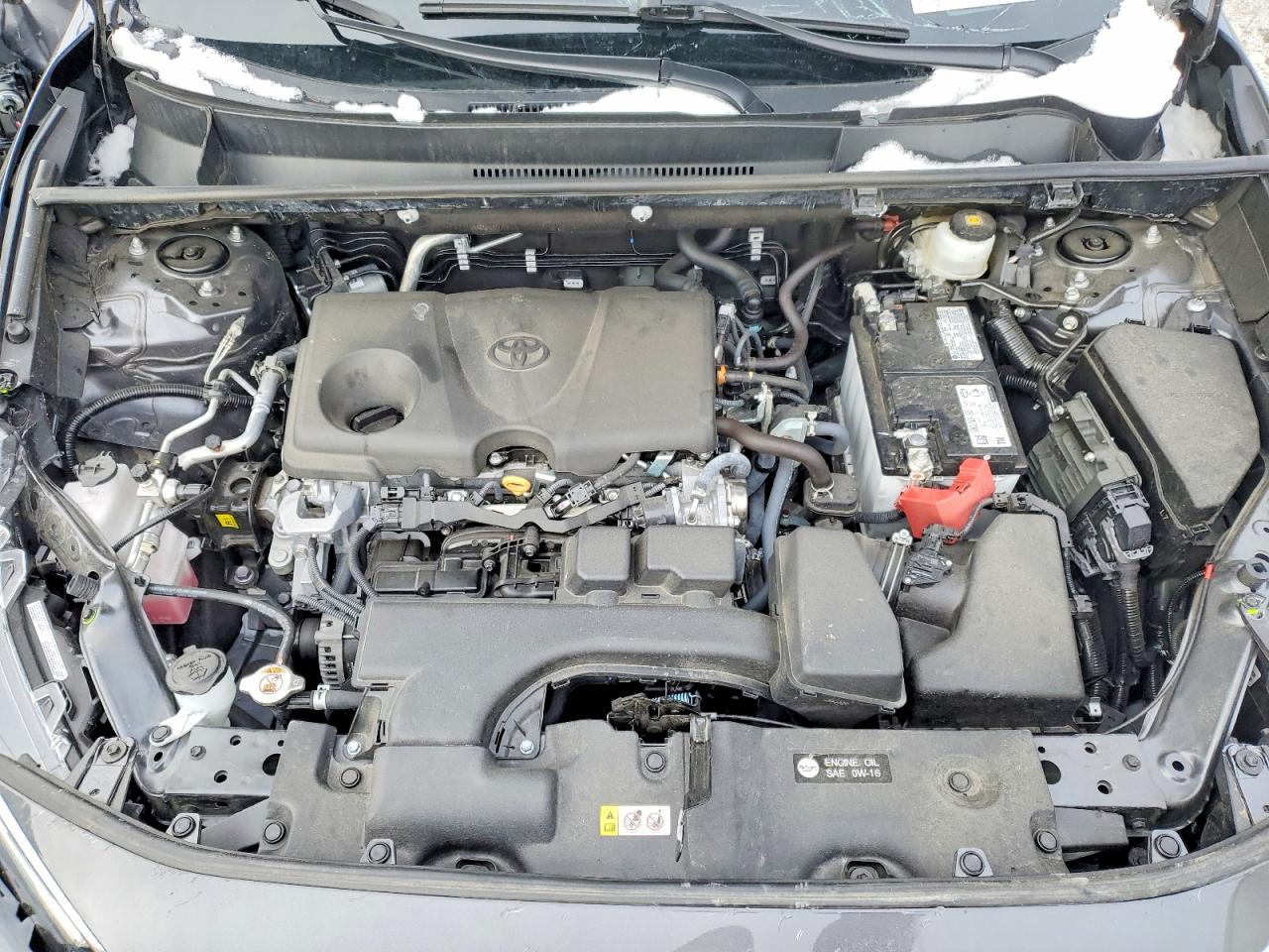 2025 TOYOTA RAV4 XLE photo 11