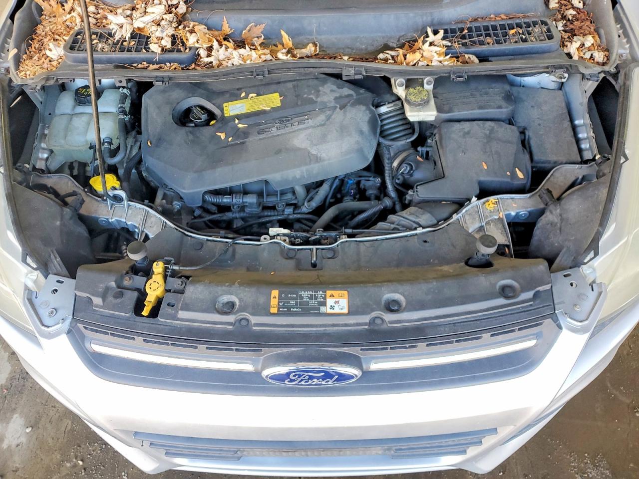 2014 FORD ESCAPE SE photo 12