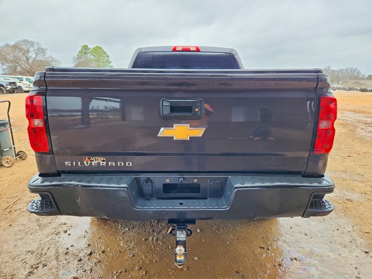 2015 CHEVROLET SILVERADO C1500 photo 6