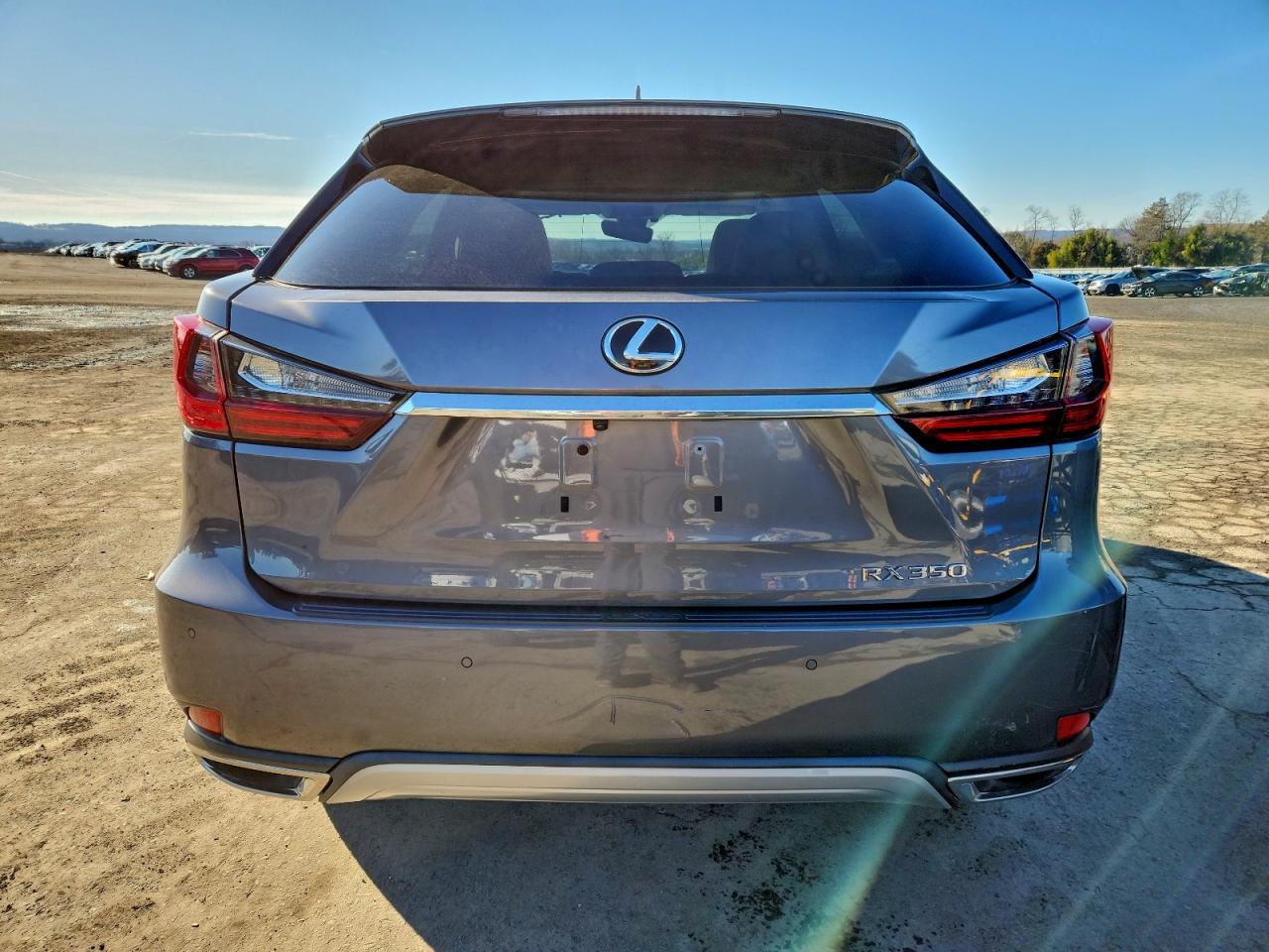 2020 LEXUS RX 350 photo 21