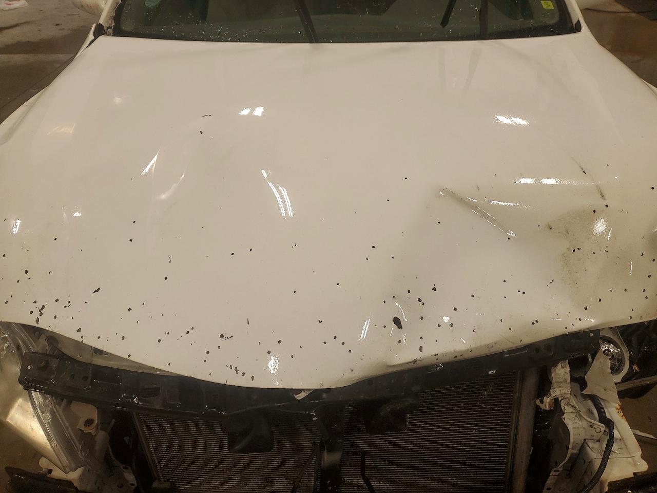2007 TOYOTA CAMRY LE photo 11