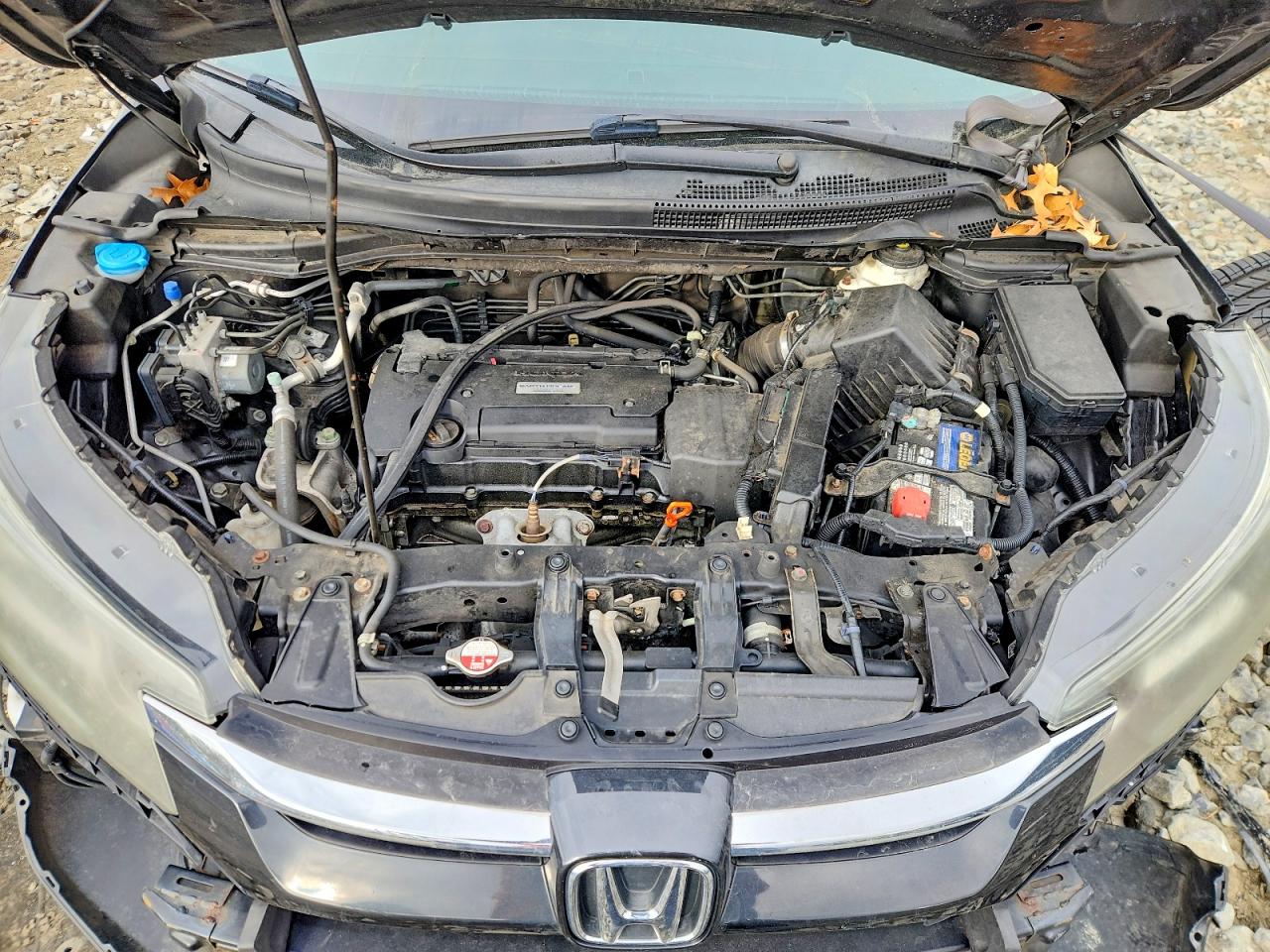 2016 HONDA CR-V SE photo 12