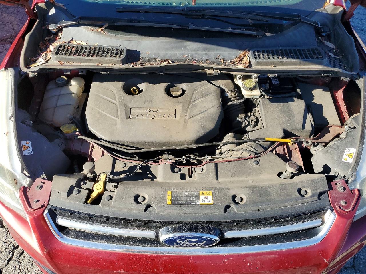 2013 FORD ESCAPE TITANIUM photo 12