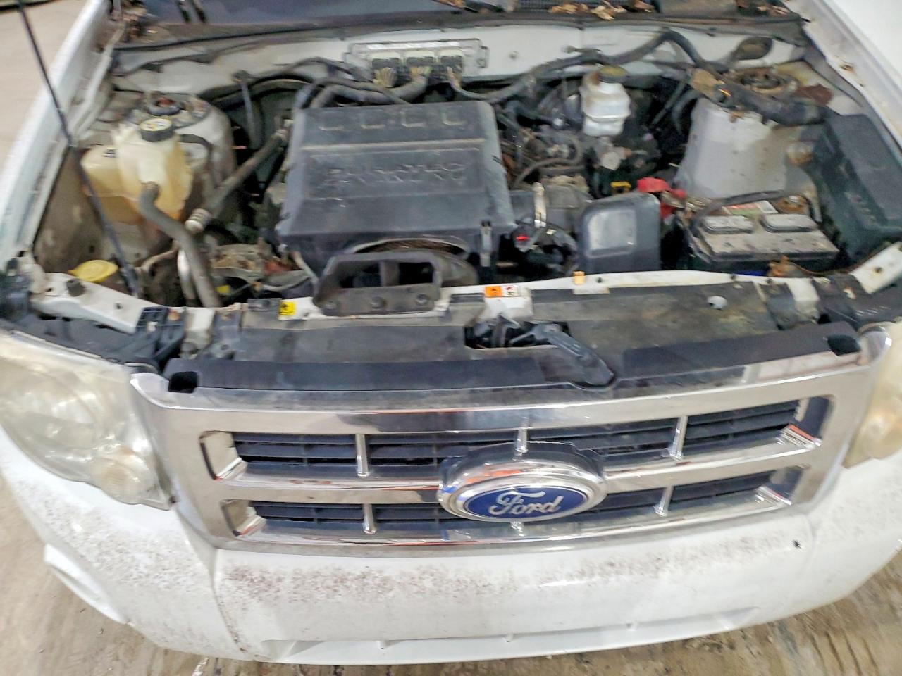2012 FORD ESCAPE XLT photo 12