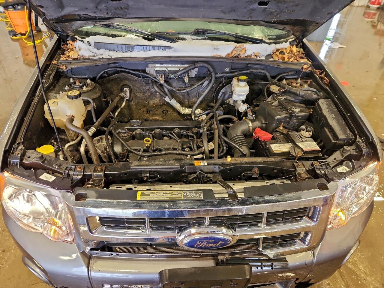 2011 FORD ESCAPE XLT photo 12