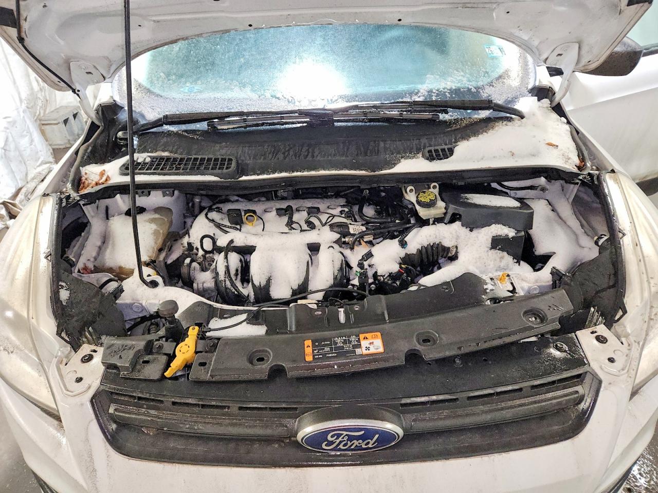 2016 FORD ESCAPE S photo 12