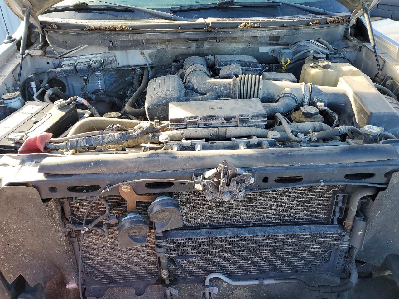 2010 FORD F150 SUPERCREW photo 11