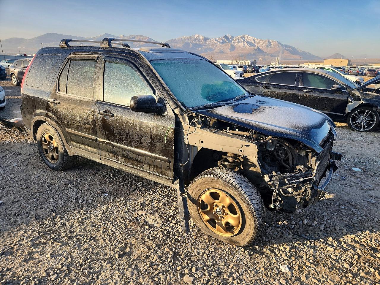 2005 HONDA CR-V SE photo 4