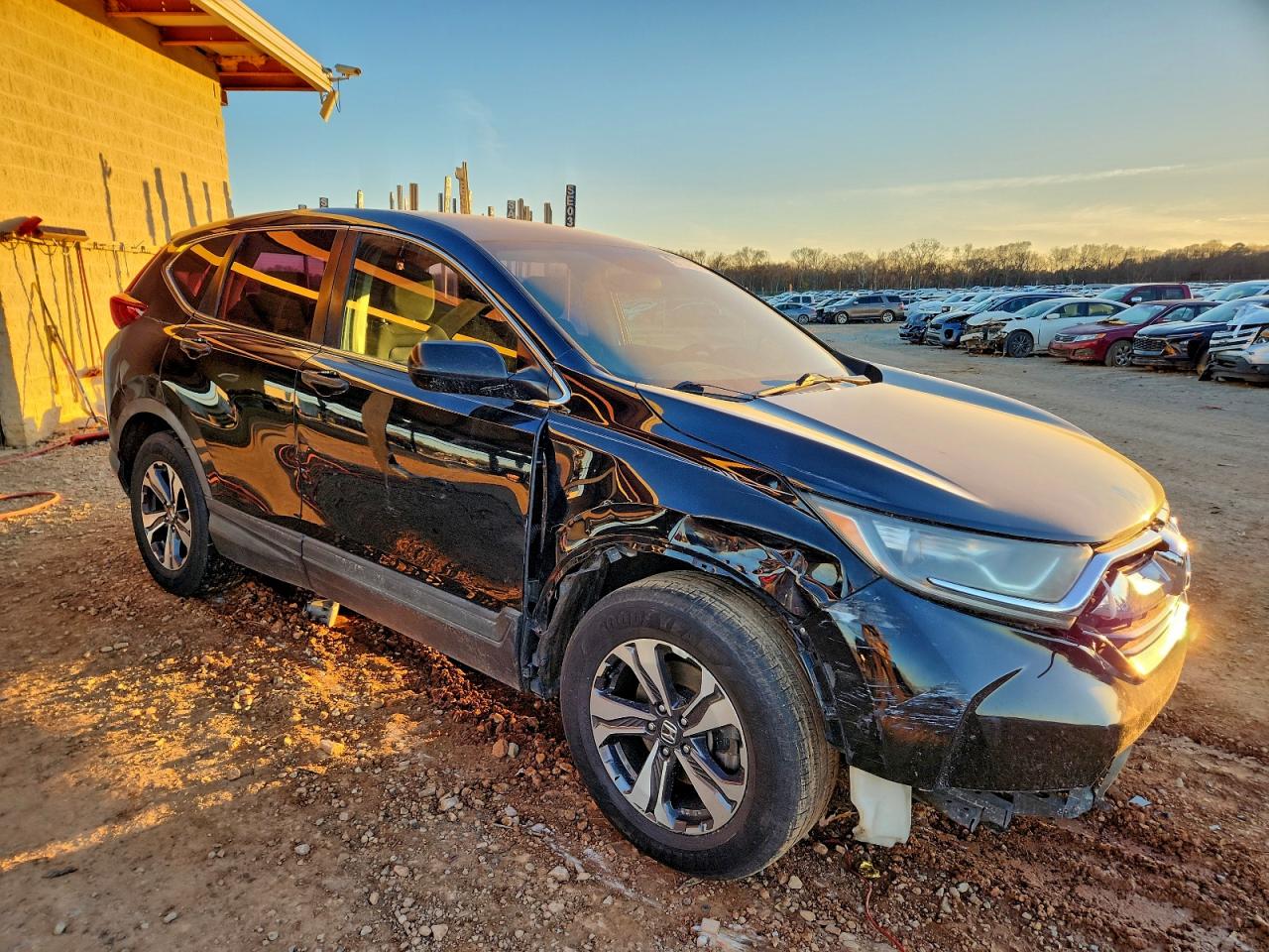 2018 HONDA CR-V LX photo 4