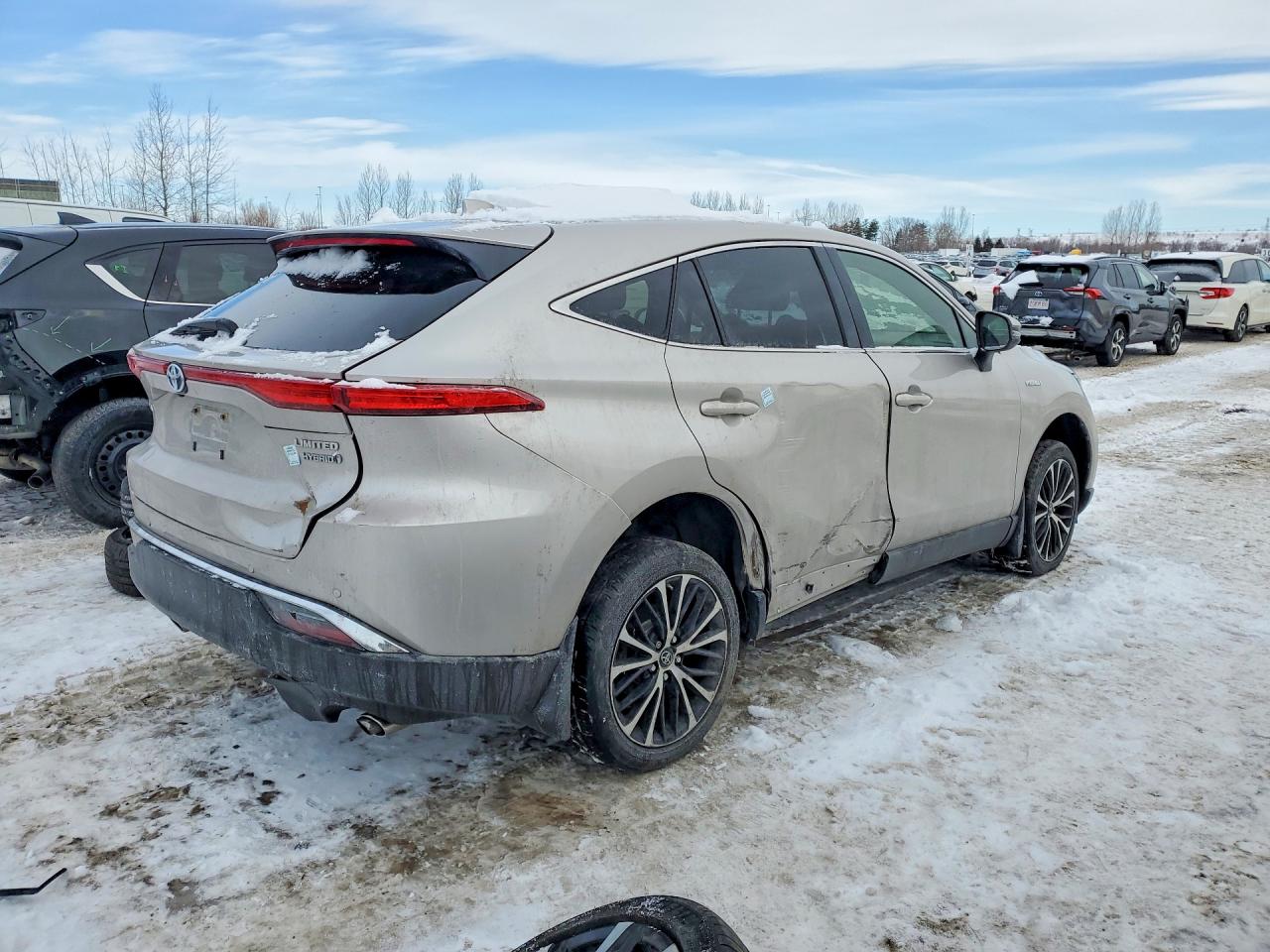 2021 TOYOTA VENZA photo 3