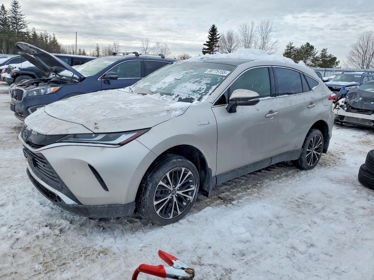 2021 TOYOTA VENZA