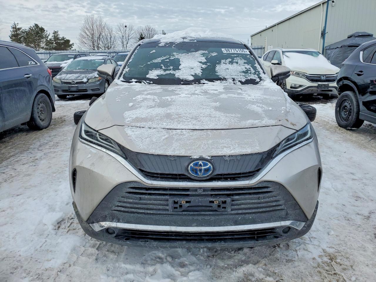 2021 TOYOTA VENZA photo 5