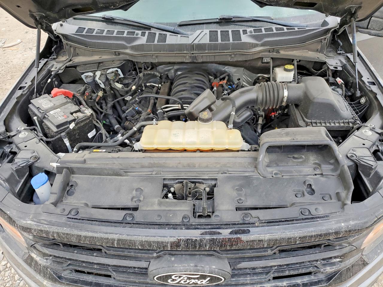 2024 FORD F150 XLT photo 11