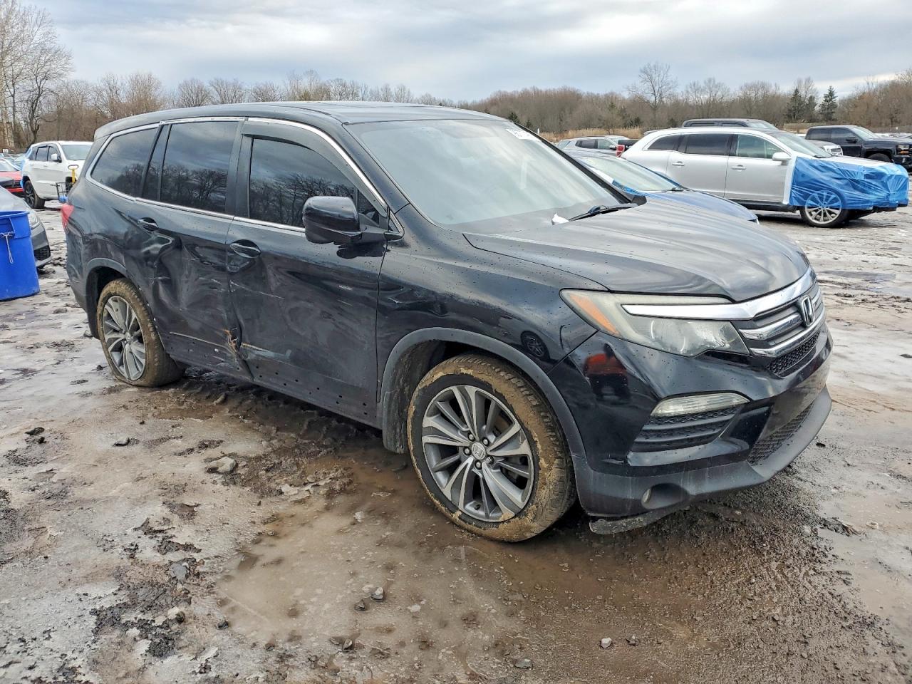 2016 HONDA PILOT EXLN photo 4