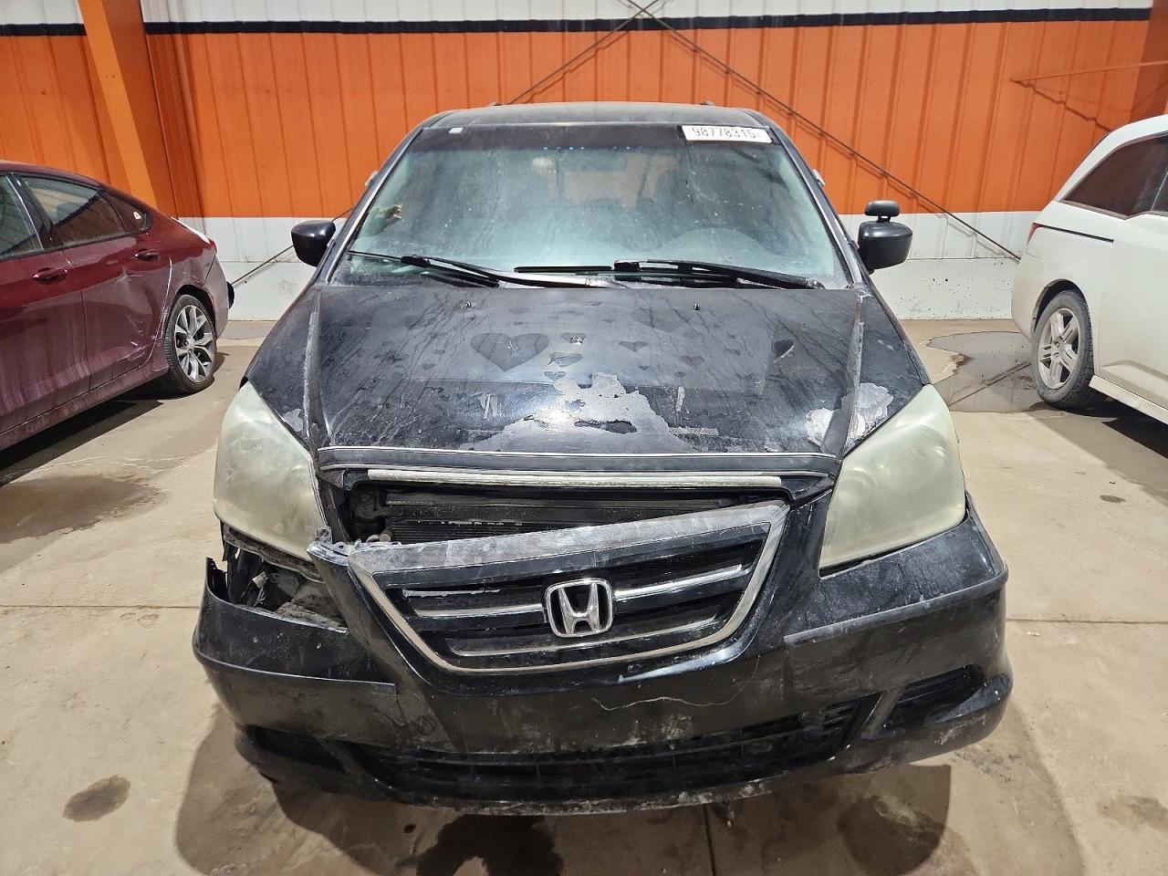 2005 HONDA ODYSSEY EXL photo 5