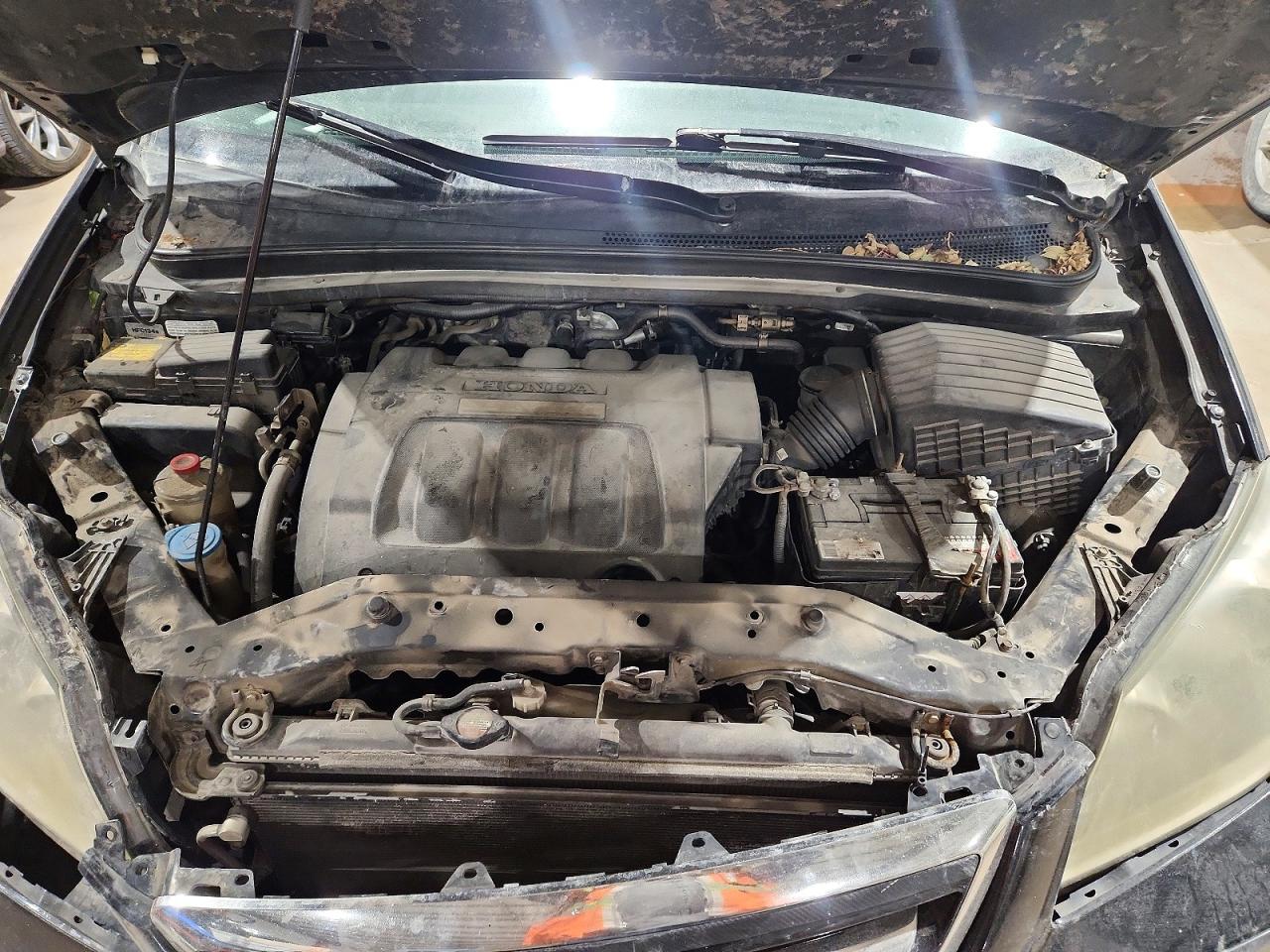 2005 HONDA ODYSSEY EXL photo 12