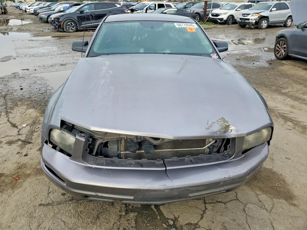 2007 FORD MUSTANG photo 5