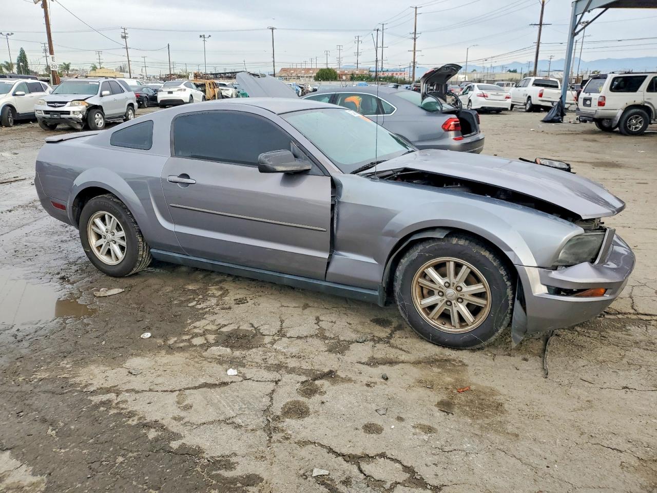 2007 FORD MUSTANG photo 4