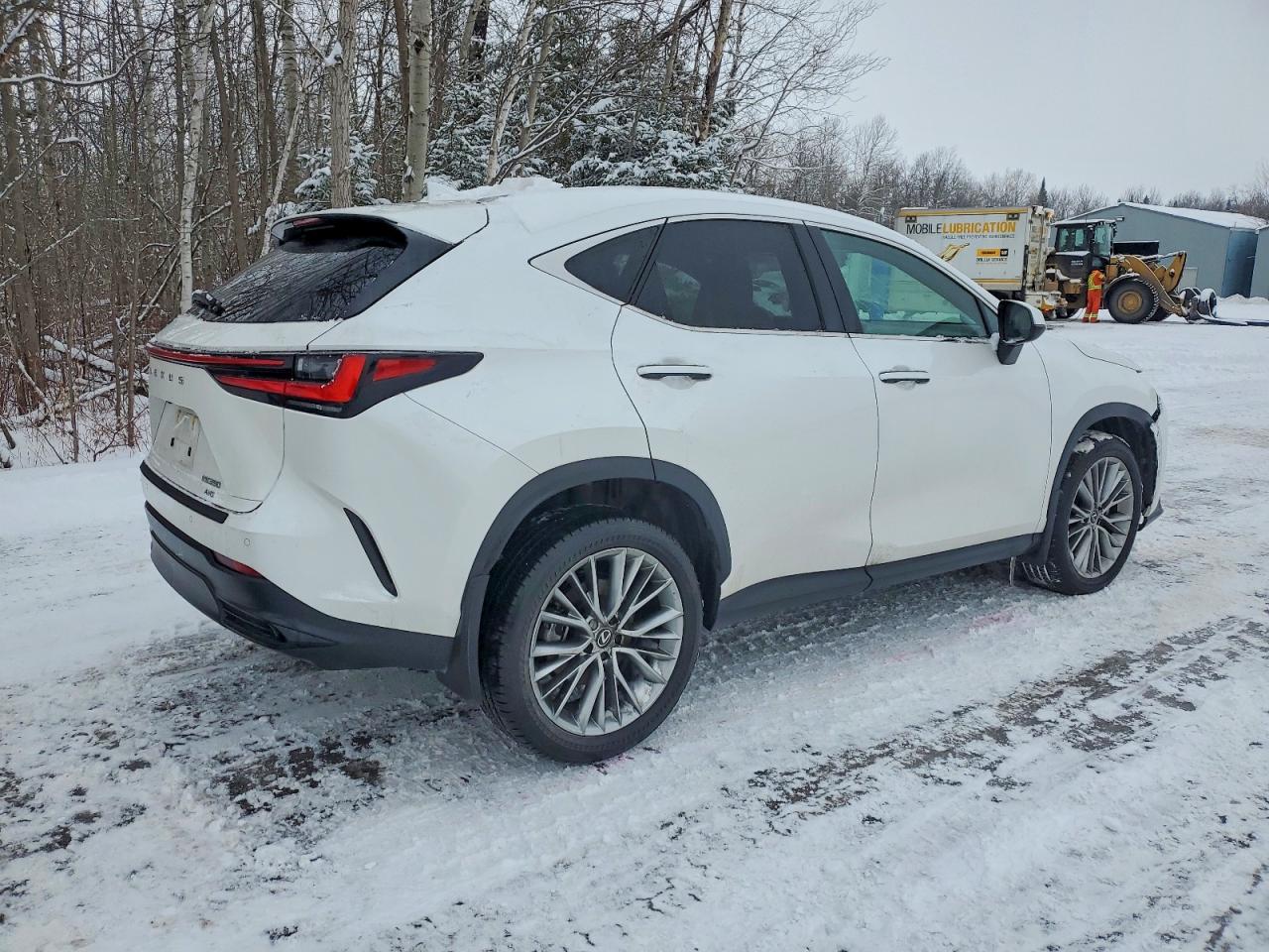 2025 LEXUS NX 350 PREMIUM photo 3