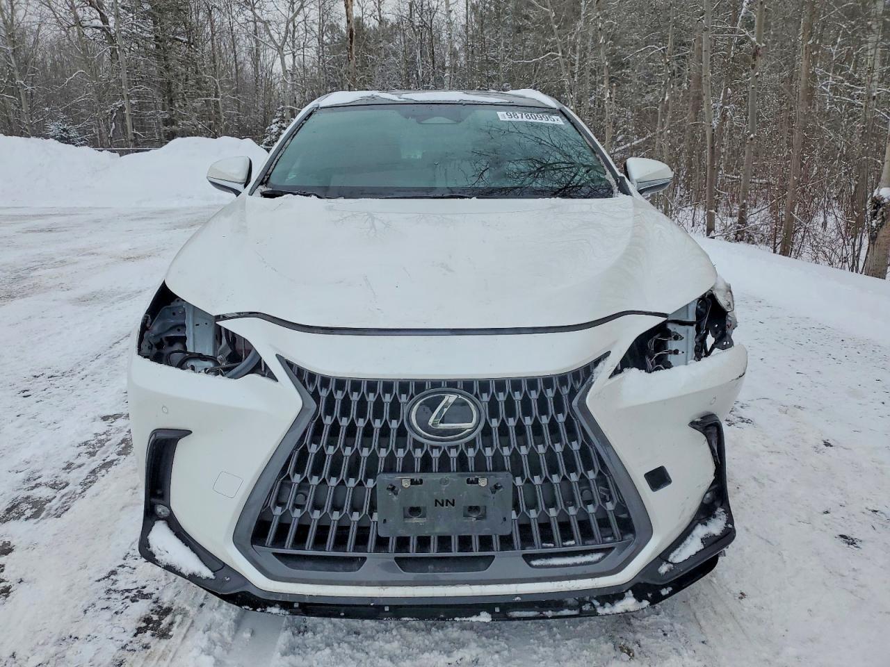 2025 LEXUS NX 350 PREMIUM photo 5