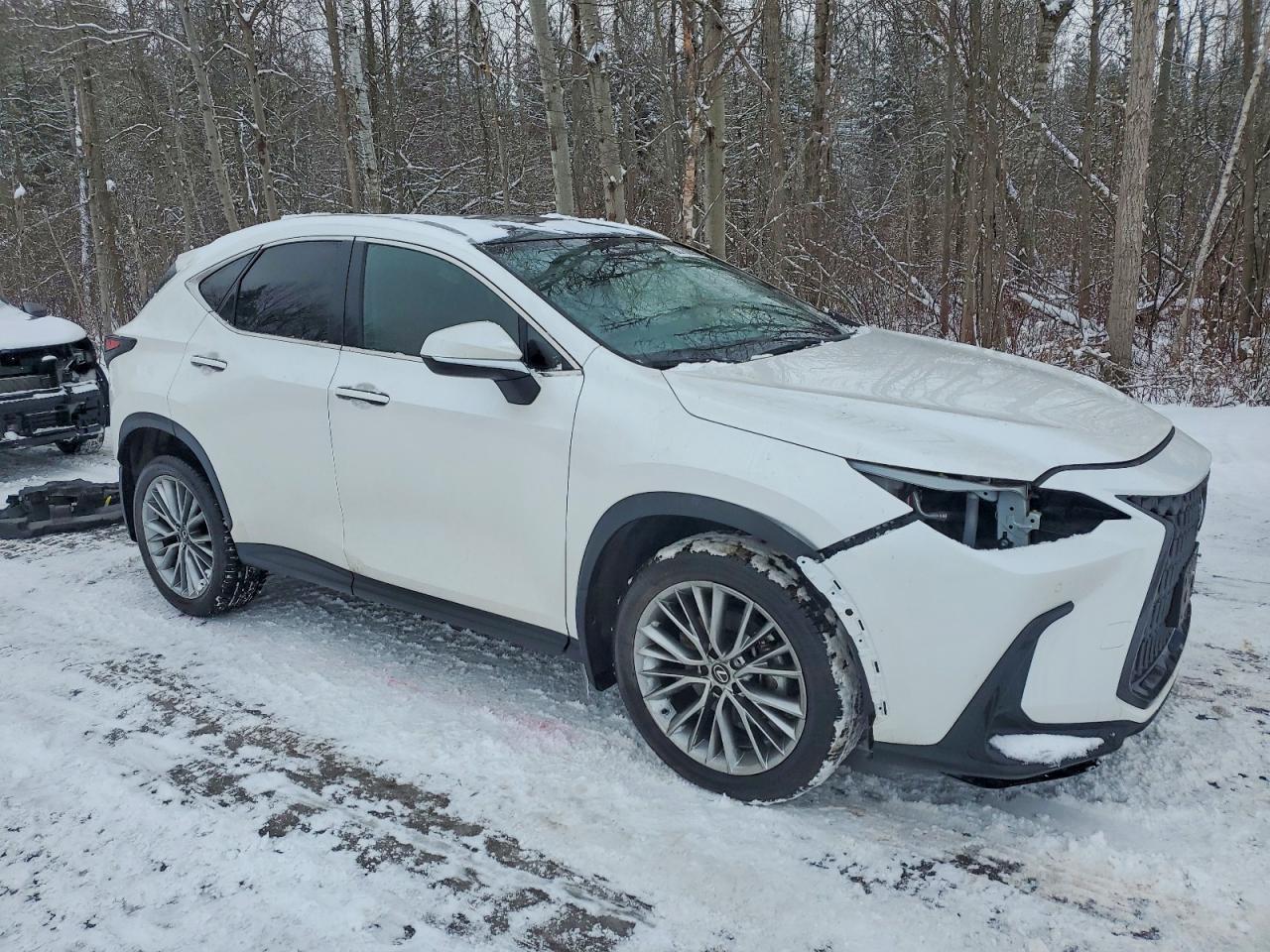 2025 LEXUS NX 350 PREMIUM photo 4