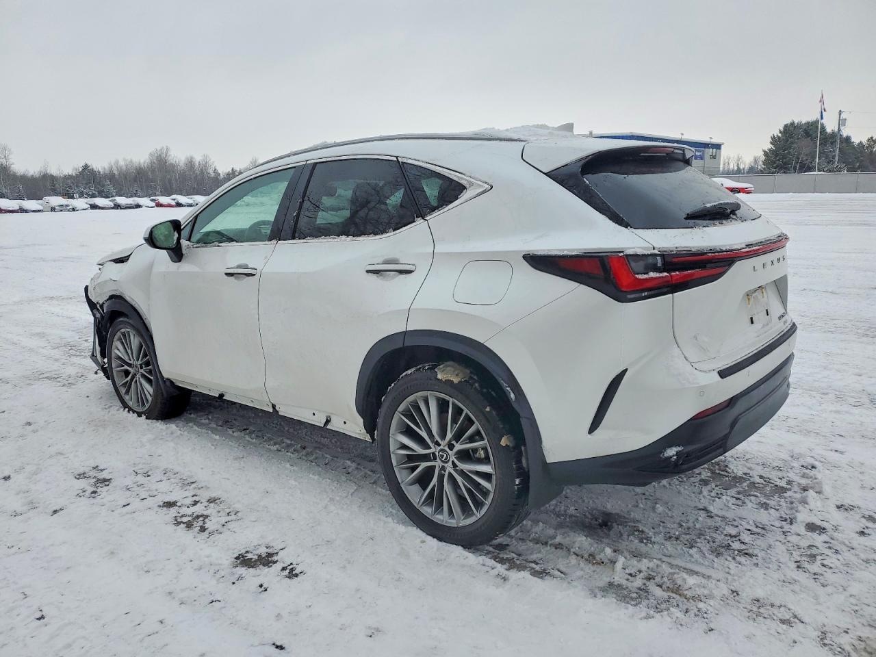 2025 LEXUS NX 350 PREMIUM photo 2