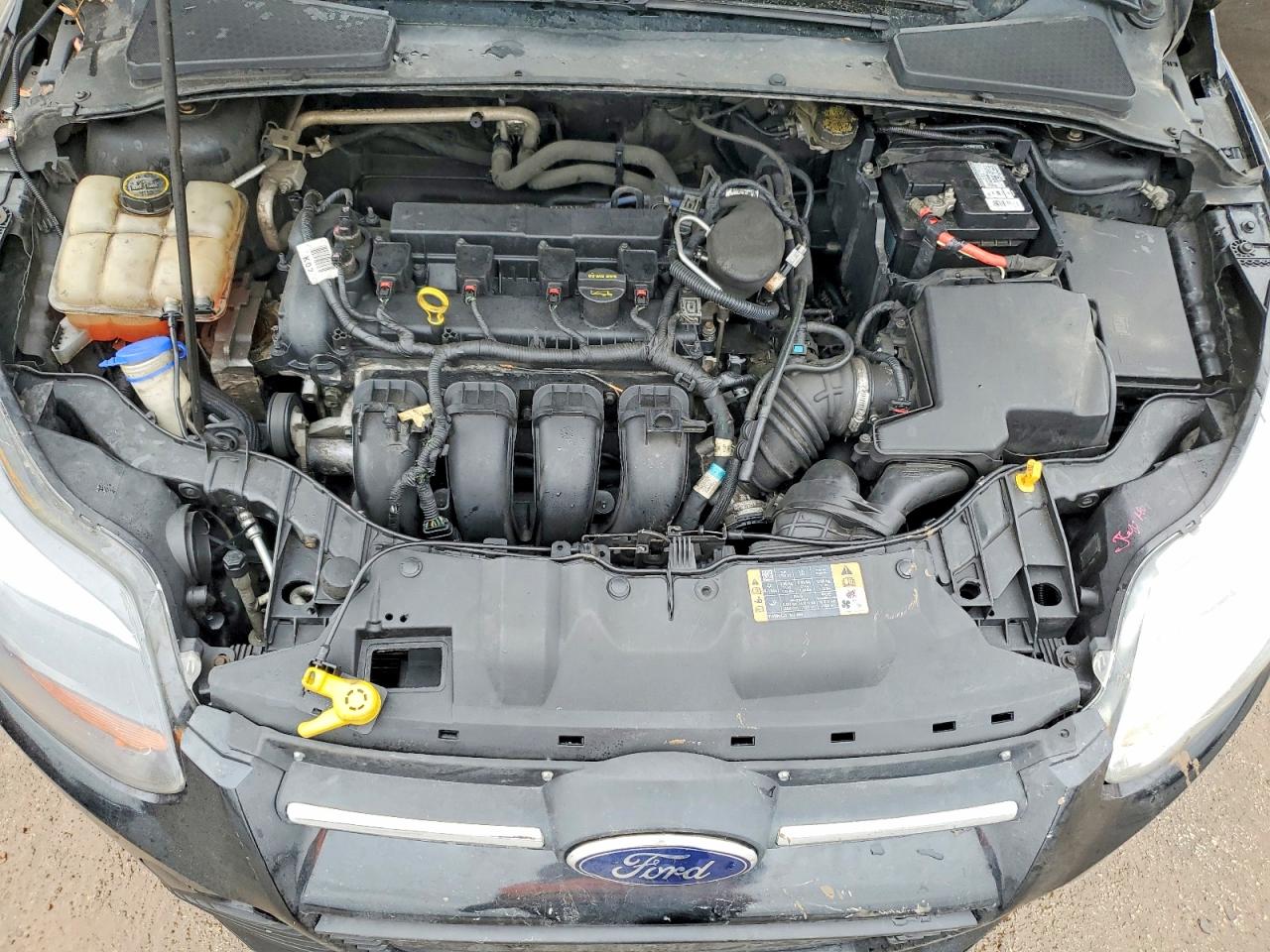 2014 FORD FOCUS SE photo 11