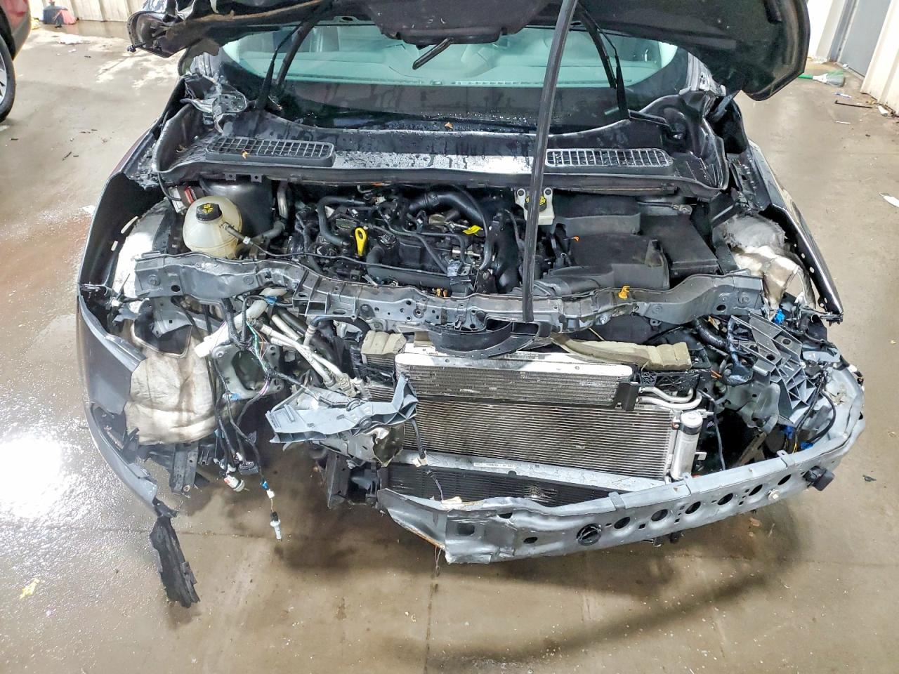 2019 FORD ESCAPE SEL photo 12