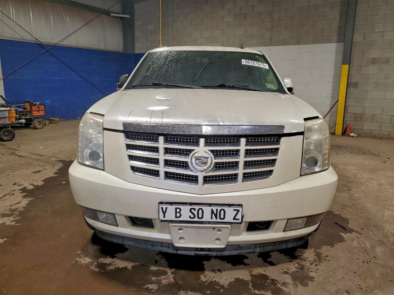 2010 CADILLAC ESCALADE LUXURY photo 5